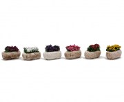 Pot de fleur couleur